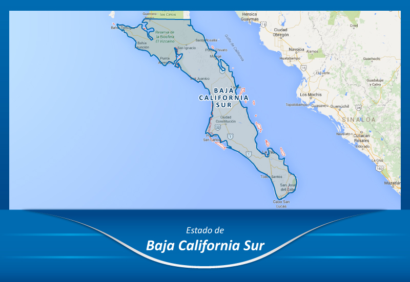 Autolineas de la Ciudad de México a Baja California Sur