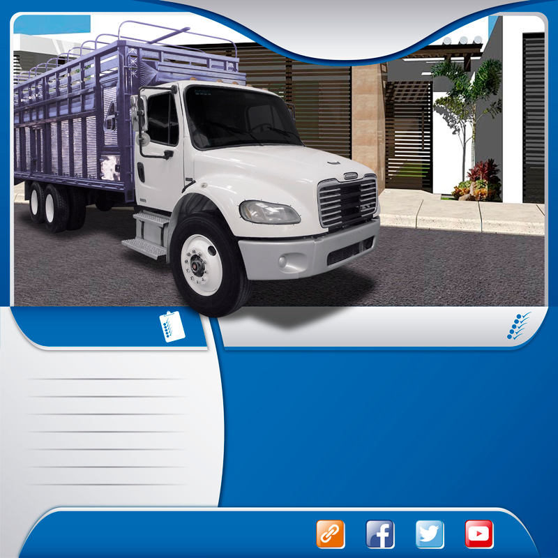  Autolineas en camión torton redilas fijas