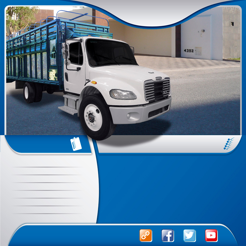  Autolineas en camiones rabon